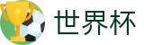 2026美加墨世界杯 · 2026年世界杯购票抽签流程全攻略